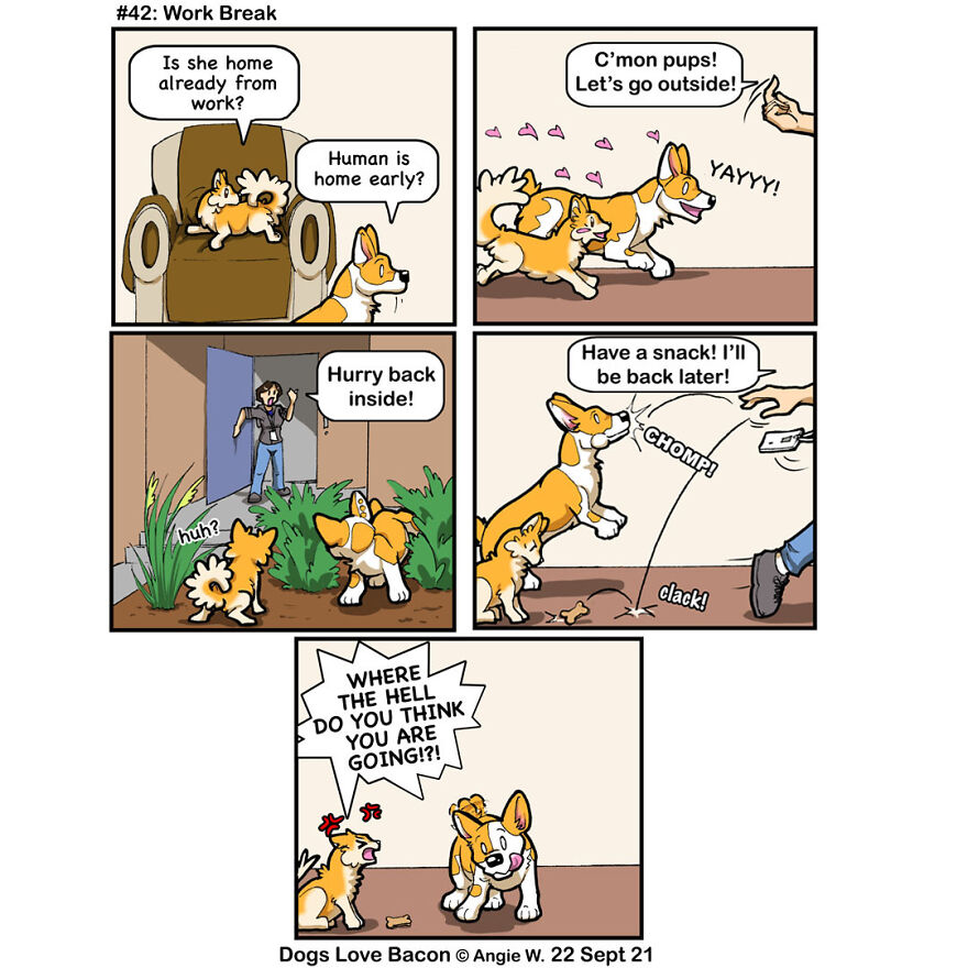 #42: Work Break