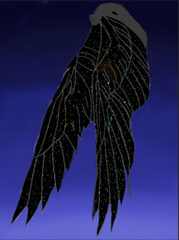 This Human/Bird Hybrid I Drew The Other Day