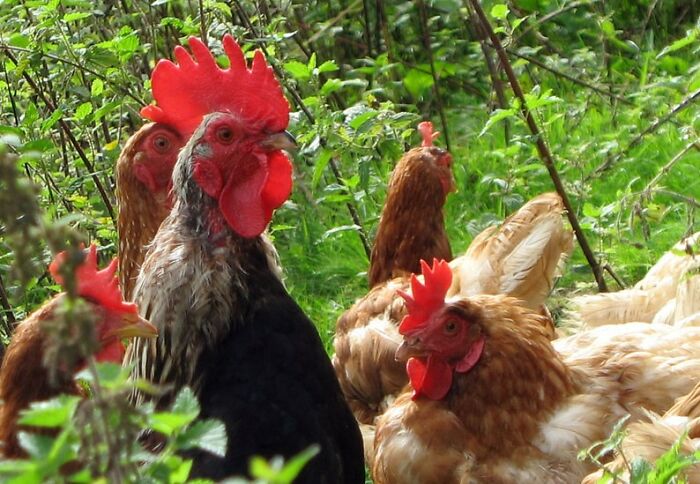 Someone Online Asked “What Took You An Embarrassing Amount Of Time To Figure Out?”, And 30 People Delivered