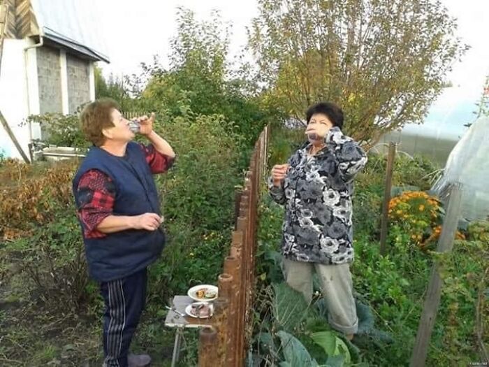 Pictures From Polish Profiles