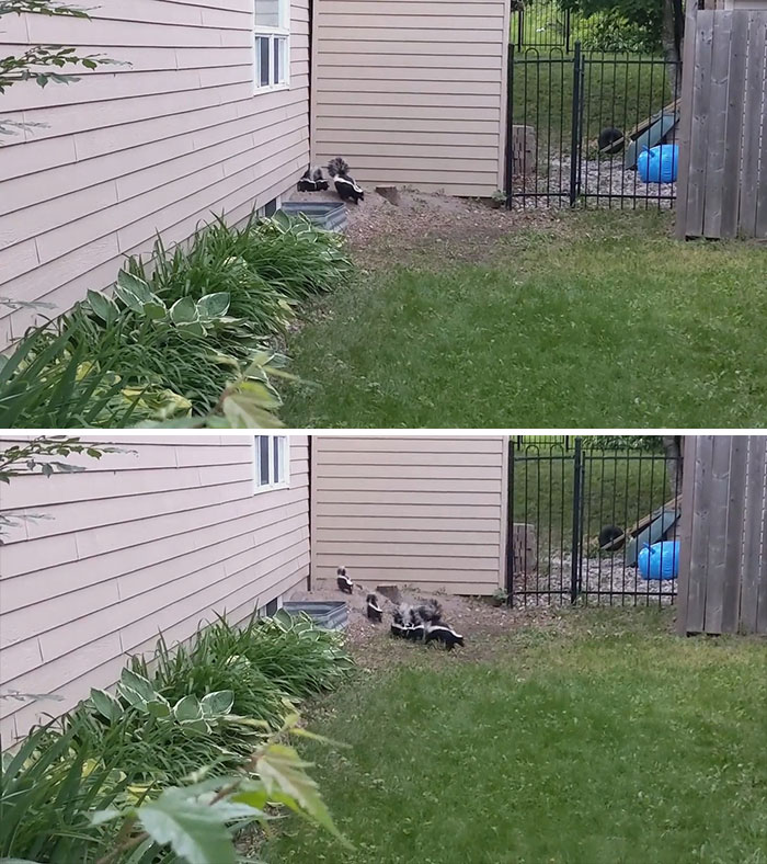 This Is The Side Of My House