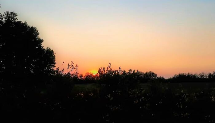 I Was Really Trying To Capture The Sunset And The Falls Leaves At The Same Time But My Camera On My Phone Was Like "No, Its One Or The Other.".