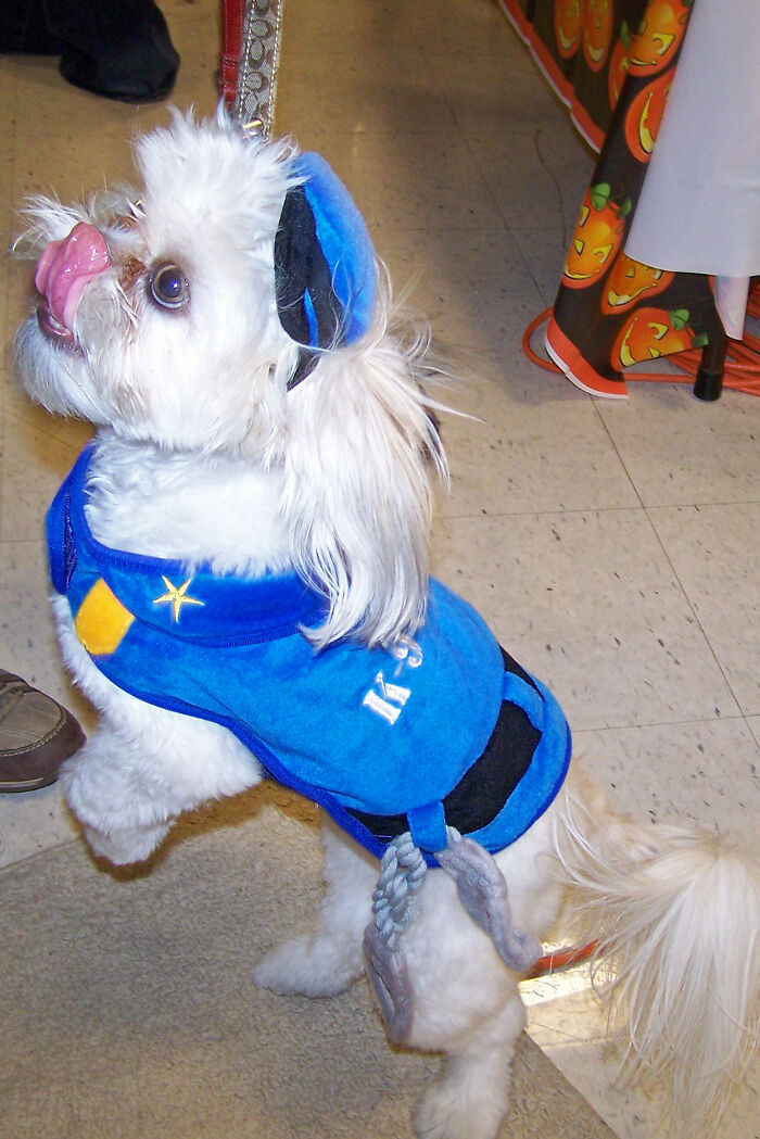 Someone Online Asked “What Took You An Embarrassing Amount Of Time To Figure Out?”, And 30 People Delivered