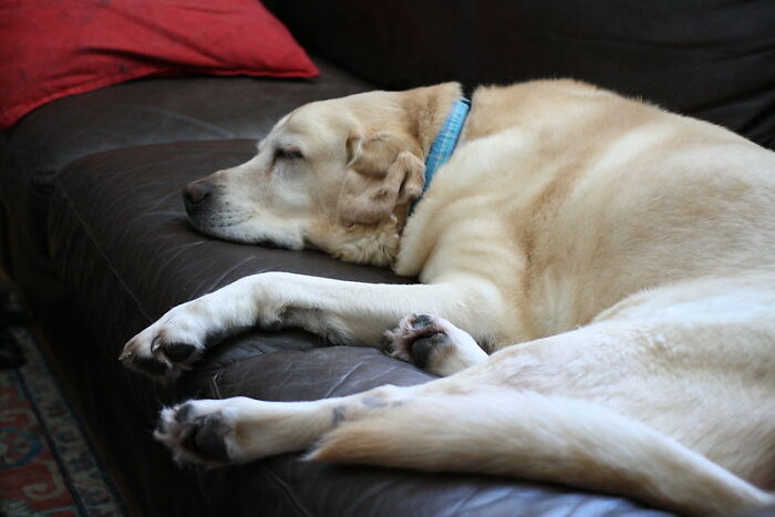 Someone Online Asked “What Took You An Embarrassing Amount Of Time To Figure Out?”, And 30 People Delivered