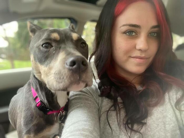 Woman Takes A Starving Pit Bull Under Her Wing After It Had Been Found Locked Up In An Abandoned House With A Broken Leg And No Food