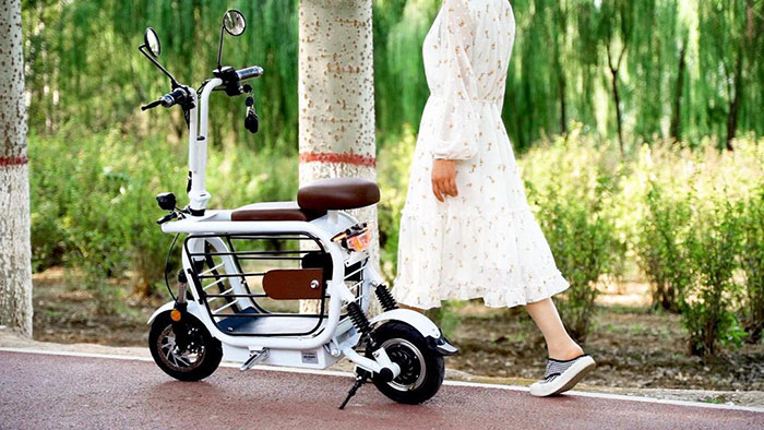 The Japanese Have Invented A Pet-Friendly E-Bike Called A Mopet, And It's Going To Make Their Transportation Much Easier The Japanese Have Invented A Pet-Friendly E-Bike Called A Mopet, And It's Going To Make Their Transportation Much Easier
