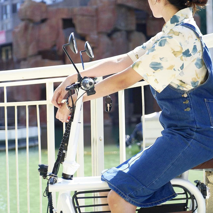 The Japanese Have Invented A Pet-Friendly E-Bike Called A Mopet, And It's Going To Make Their Transportation Much Easier The Japanese Have Invented A Pet-Friendly E-Bike Called A Mopet, And It's Going To Make Their Transportation Much Easier