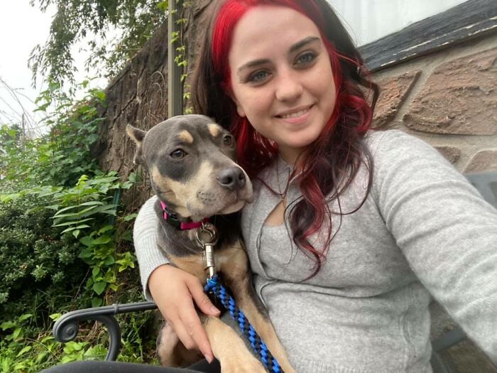 Woman Takes A Starving Pit Bull Under Her Wing After It Had Been Found Locked Up In An Abandoned House With A Broken Leg And No Food