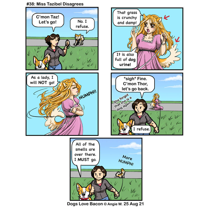 #38: Miss Tazibel Disagrees