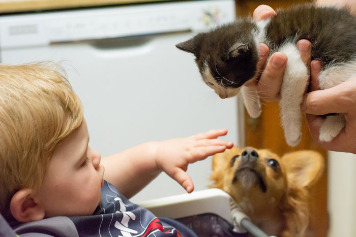 20 Personas señalan detalles simples que pueden mejorar el atractivo en este hilo online