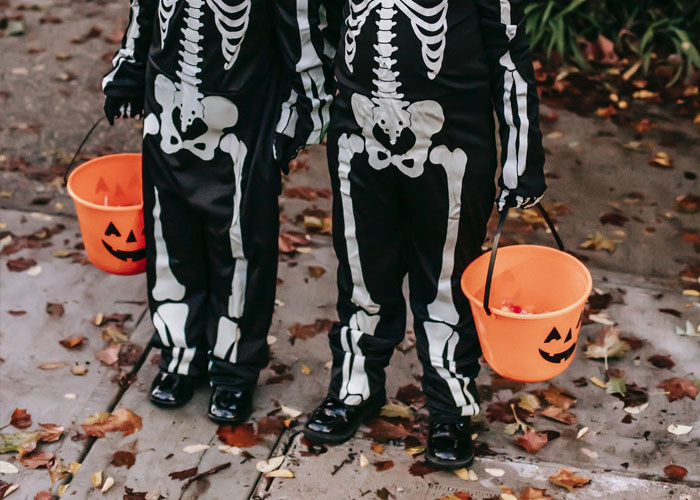 "Hoy aprendí": 30 datos que demuestran que nunca es tarde para aprender (nuevas fotos)