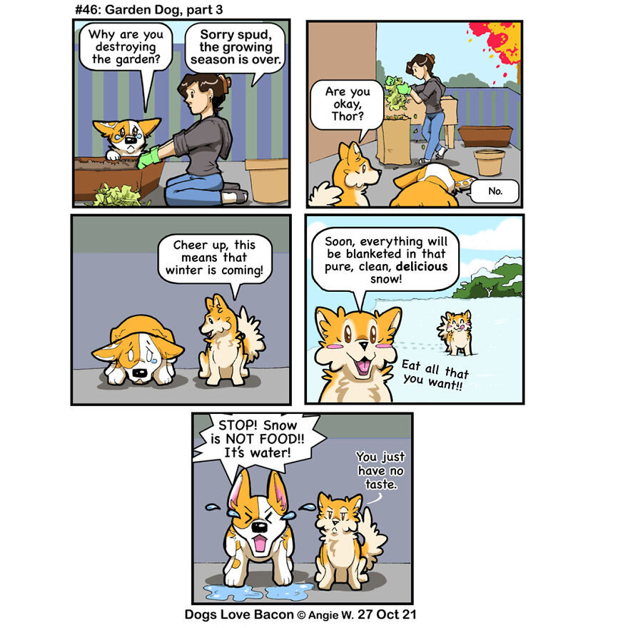 #46: Garden Dog, Part 3