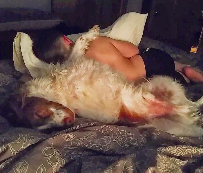 Three-Legged Dog Goes Viral On TikTok For Walking Upright Like A Human