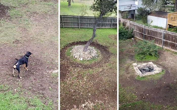 Who Knows Why This Alien Is Making Circles?