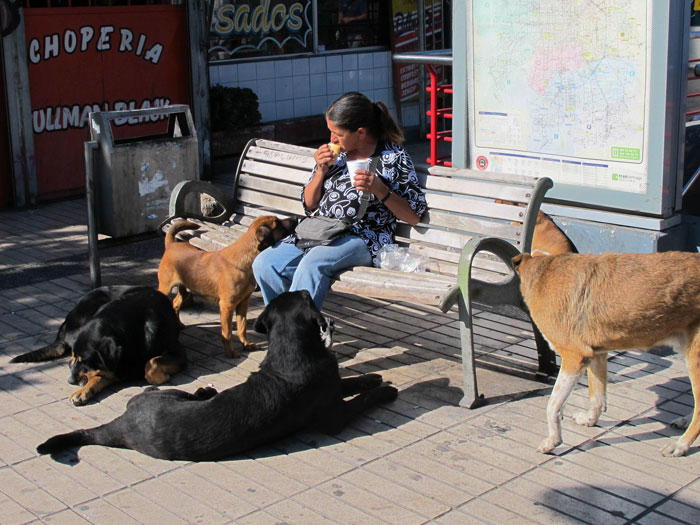 30 Folks In This Online Group Share How Their "Neighbors From Hell" Earned Their Name