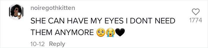 The Moment When A Blind Dog Realized She Was Going To The Dog Park Won People's Hearts On The Internet