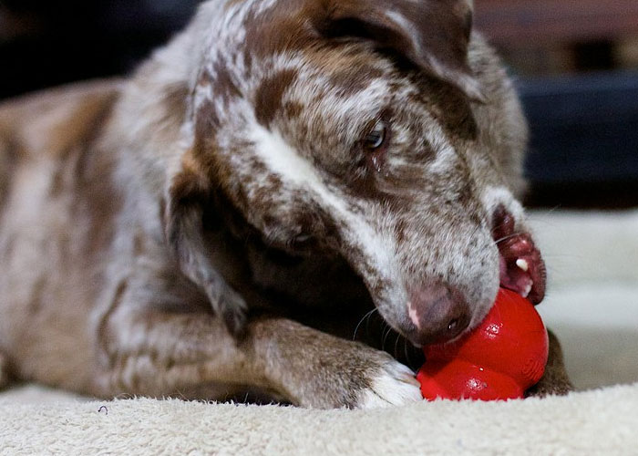 30 ‘Today I Learned’ Facts That Show It’s Never Too Late To Learn (New Pics)