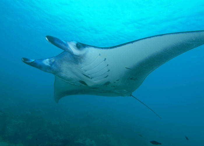 "Hoy aprendí": 20 Datos que demuestran que nunca es tarde para aprender (nuevas fotos)