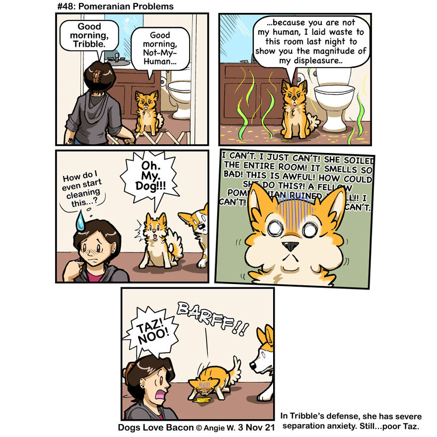 #48: Pomeranian Problems
