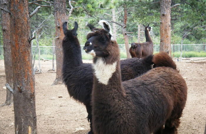 30 Jobs People Actually Do That You Might Not Have Thought Of, As Shared By Folks In This Online Group