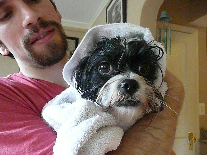 30 People In This Online Group Reveal Their Best Jokes That Hardly Ever Fail To Make Others Laugh