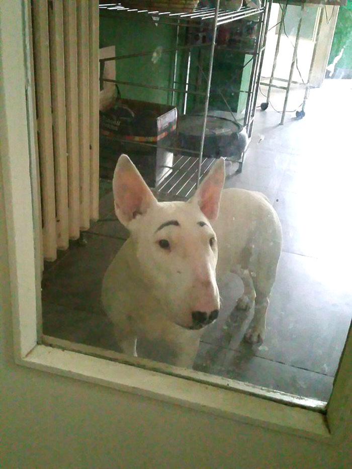 30 Millennial Trends Gen Zers In This Online Group Are Sick And Tired Of