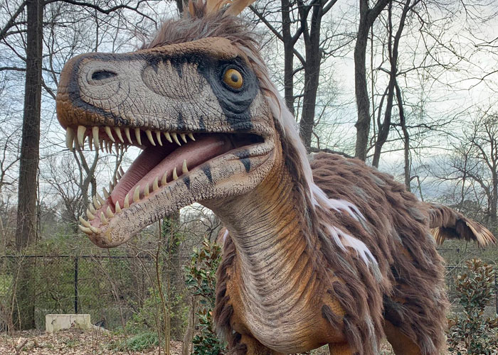 "Hoy aprendí": 30 datos que demuestran que nunca es tarde para aprender (nuevas fotos)