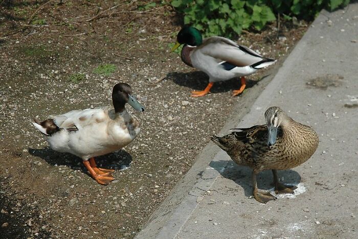 30 People In This Online Group Reveal Their Best Jokes That Hardly Ever Fail To Make Others Laugh