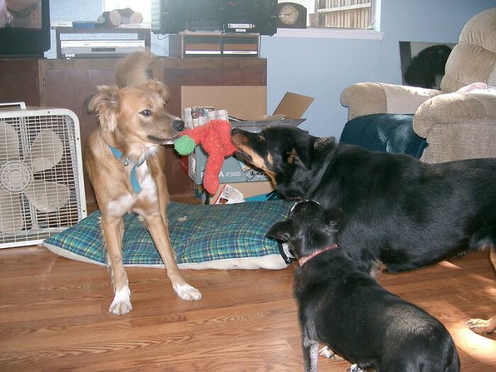 Someone Online Asked “What Took You An Embarrassing Amount Of Time To Figure Out?”, And 30 People Delivered