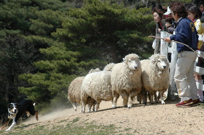 30 People In This Online Group Reveal Their Best Jokes That Hardly Ever Fail To Make Others Laugh