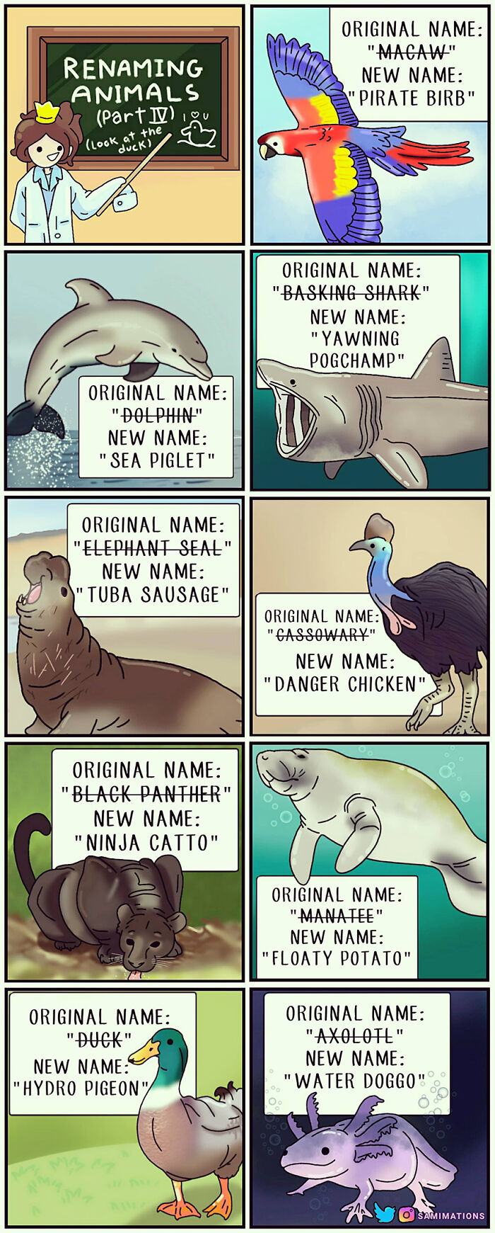 Illustrated random thoughts renaming animals with humorous new names to cheer you up in colorful cartoon style.