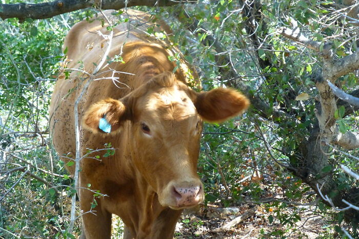 Someone Online Asked “What Took You An Embarrassing Amount Of Time To Figure Out?”, And 30 People Delivered