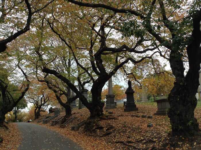 Green-Wood Cemetery, Brooklyn
