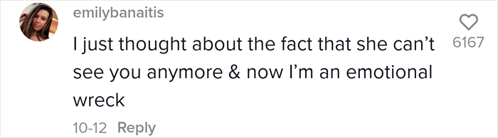 The Moment When A Blind Dog Realized She Was Going To The Dog Park Won People's Hearts On The Internet
