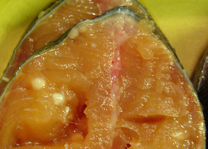 30 ‘Today I Learned’ Facts That Show It’s Never Too Late To Learn (New Pics)