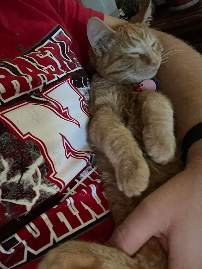 Este es Brad. El refugio me dijo que Brad no sería cariñoso. No se ha alejado de mí o de mi hijo desde que lo trajimos a casa el fin de semana pasado