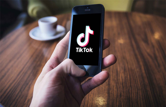 Hand holding smartphone displaying TikTok logo, illustrating sarcastically honest slogans about famous brands online.