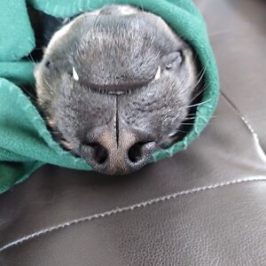 valentinarandi avatar