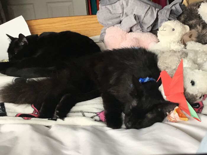 Should I Get Up I’d Rather Not