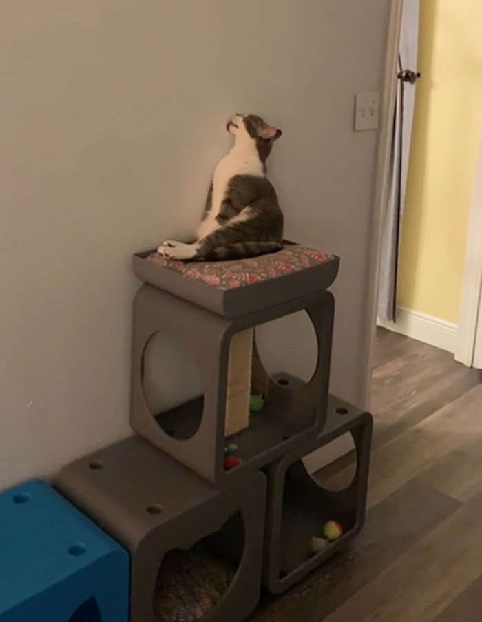 Creo que hizo lo que sentía en ese momento… 