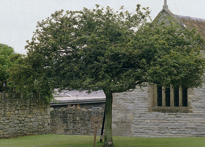 30 ‘Today I Learned’ Facts That Show It’s Never Too Late To Learn (New Pics)