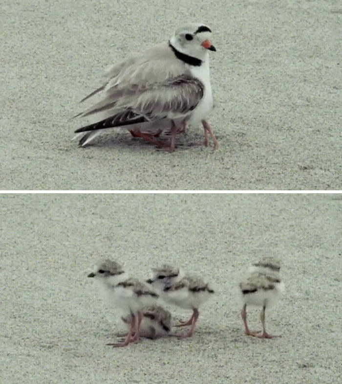 When An Enemy Splits Into Several Small Enemies Instead Of Dying