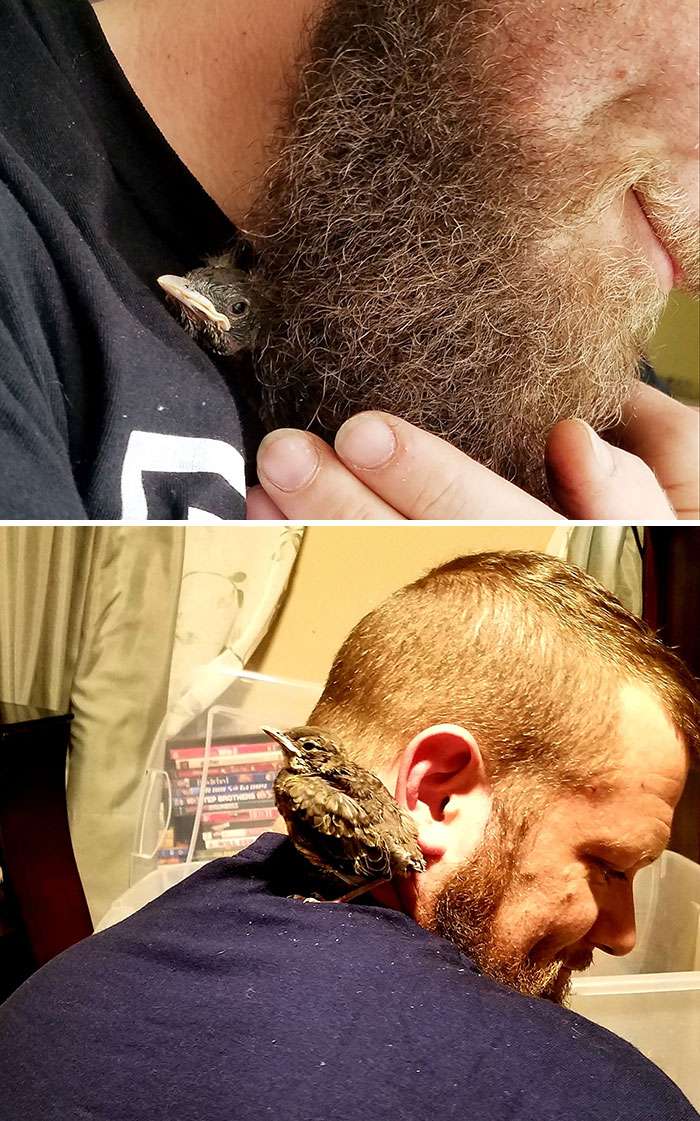 Este es mi chico Blue. Los hijos del vecino me lo trajeron para rescatarlo. Lo quiero mucho