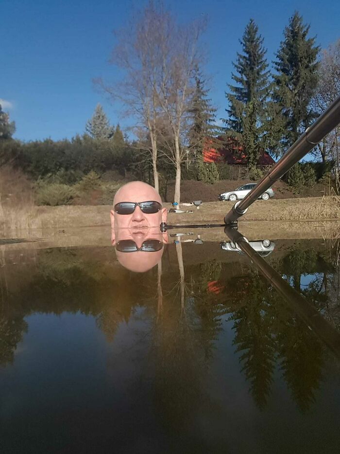 Pictures From Polish Profiles