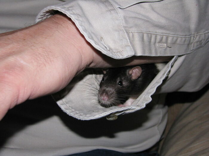 30 People In This Online Group Reveal Their Best Jokes That Hardly Ever Fail To Make Others Laugh