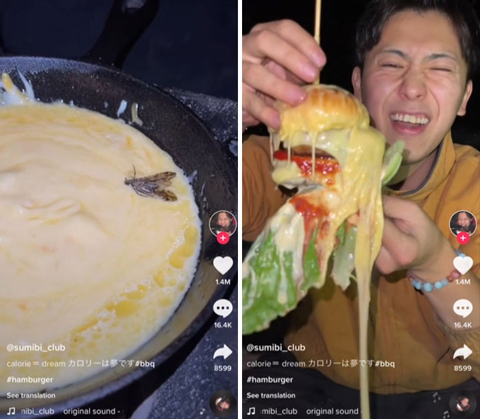 None Of This Is Acceptable. It Was Dead On Arrival