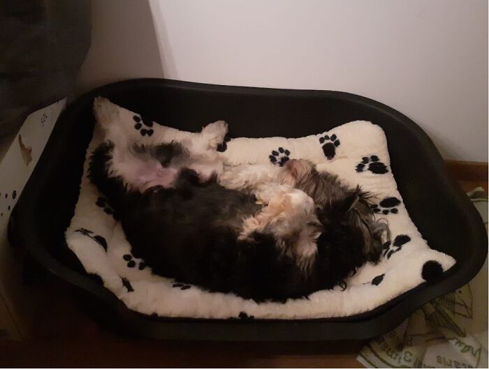 To Early, Nope Not Getting Up Zzzzzzzzzzzzz