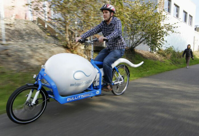 What Is He Chasing After? Eggs?