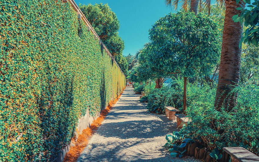 Photos I Took Inspired By Studio Ghibli