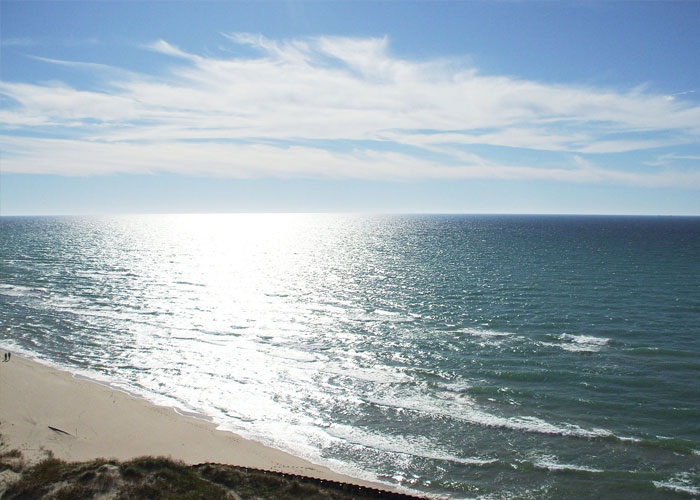 30 ‘Today I Learned’ Facts That Show It’s Never Too Late To Learn (New Pics)